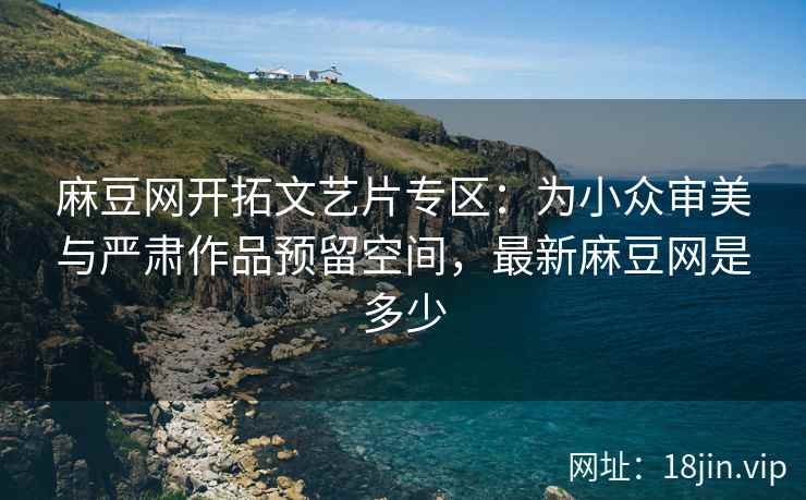 麻豆网开拓文艺片专区：为小众审美与严肃作品预留空间，最新麻豆网是多少